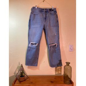 Hollister NWT High Rise Straight Leg Distressed Size 13R W31 L27 New With Tags